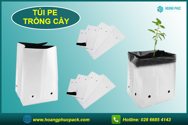 Túi PE trồng cây